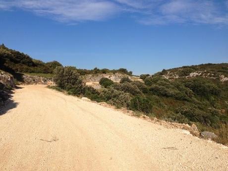 Commencer l'été en marchant Commencer l'été en marchant