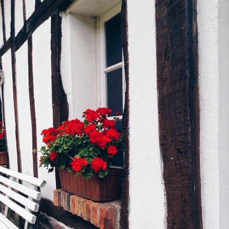 Normandie #retour #weekend #normandie #flowers #repos Normandie #retour #weekend #normandie #flowers #repos