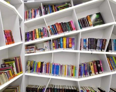 30 bibliothèques incroyables qui donnent envie de passer des nuits blanches à lire !