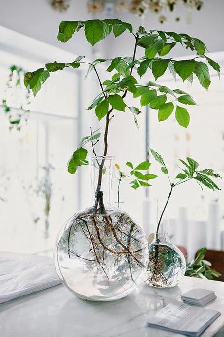 Branche d'arbre dans un vase Moody's home via Nat et nature Semaine 25 sur les blogs déco