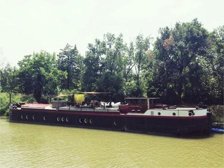 Un dimanche midi au canal du Midi Un dimanche midi au canal du Midi