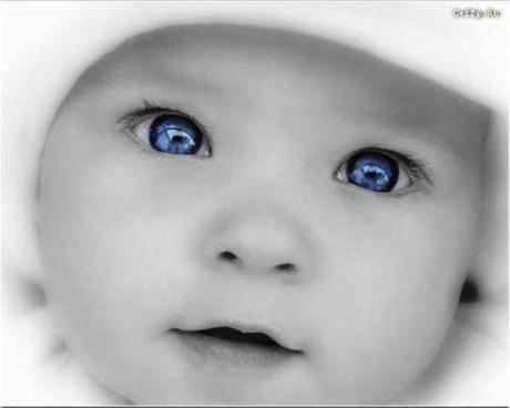 La vue du bébé... La vue du bébé...