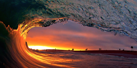 JOB : Photographe de vagues à Hawaii ! JOB : Photographe de vagues à Hawaii !
