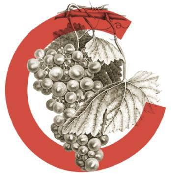 Cubiton ou le rebelle des caves à vin ! CUBITON