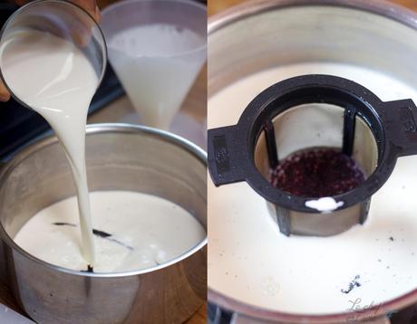 La plus Bissap de toutes les glaces ! glace bissap 3