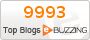 Le spectacle de l'intermittence. Ebuzzing - Top des blogs