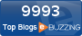 Le spectacle de l'intermittence. Ebuzzing - Top des blogs