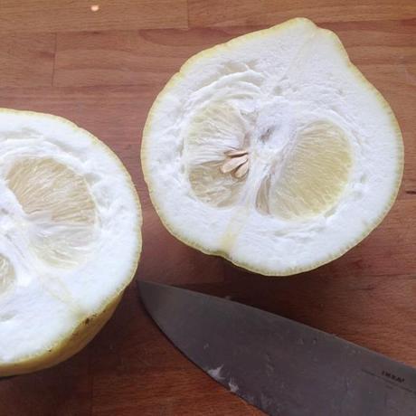 Marmelade de citron cédrat au combava Marmelade de citron cédrat au combava
