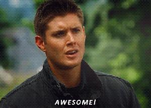 Je vois la vie en Gifs… gif_awesome