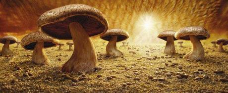 Mushroom-Savanna3