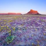 Les Paysages de l’Utah – Guy Tal Guy Tal 01