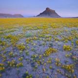 Les Paysages de l’Utah – Guy Tal Guy Tal 12