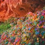 Les Paysages de l’Utah – Guy Tal Guy Tal 15