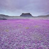 Les Paysages de l’Utah – Guy Tal Guy Tal 03