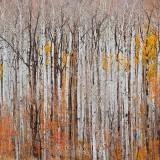 Les Paysages de l’Utah – Guy Tal Guy Tal 08