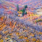 Les Paysages de l’Utah – Guy Tal Guy Tal 13