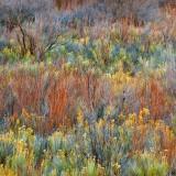 Les Paysages de l’Utah – Guy Tal Guy Tal 10