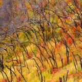 Les Paysages de l’Utah – Guy Tal Guy Tal 06