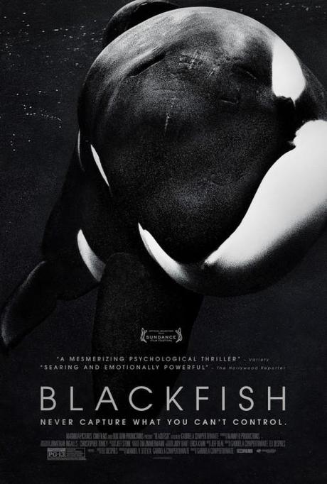 - Blackfish de Gabriela Cowperthwaite - - Blackfish de Gabriela Cowperthwaite -