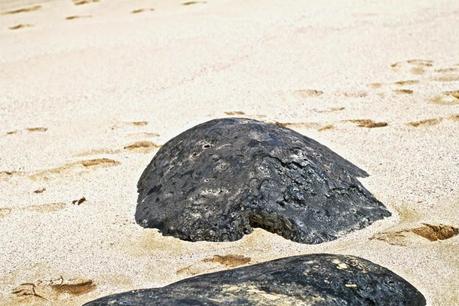 Isla la Graciosa ◊ Canary Islands Isla la Graciosa ◊ Canary Islands