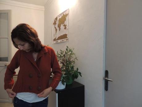 Le gilet rouille Image