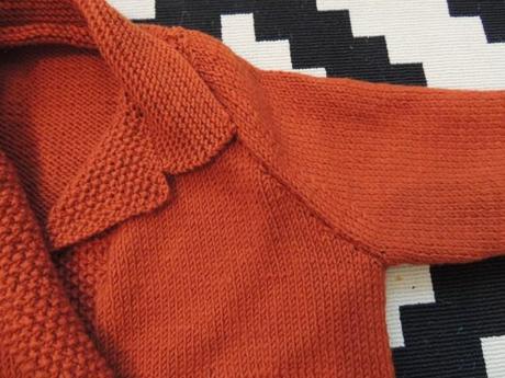 Le gilet rouille Image