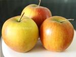 Compote de pomme et pruneaux - 6 mois CompotPomBébéBLOG1