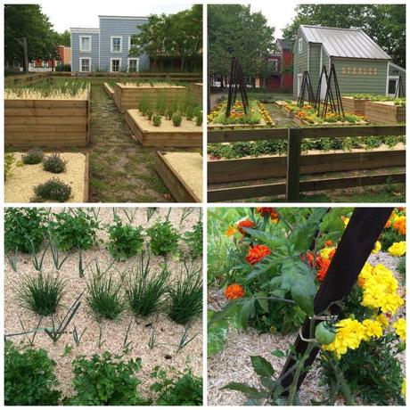 Ratatouille à déguster à Disneyland sans modération ! Ratatouille à déguster à Disneyland sans modération !