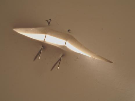 Silicon surgical
