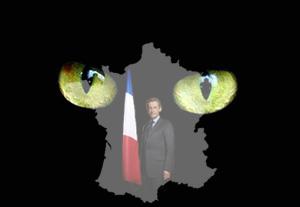 Un chat noir en France sarkozy chat noir