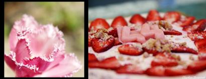 Pink Cheesecake, so girly - Amande Fraises Framboises façon crumble - Fête des mères heureuse ! cheesecake_3.jpg