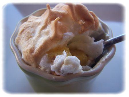 Ananas meringué 122_6748