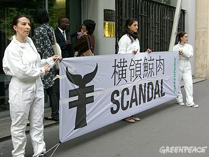 Greenpeace déploie une banderole devant l’ambassade du Japon pour demander la poursuite des responsables du trafic de viande de baleine