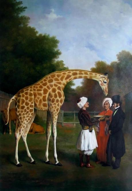La girafe nubienne de Paris…!