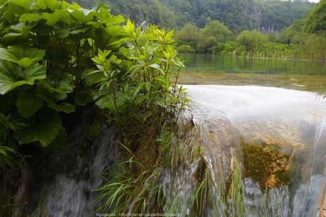 Le parc national de Plitvice, les incontournables (voyage en Croatie #7) P6174064_plitvice-pluie-rain_64_gagaone