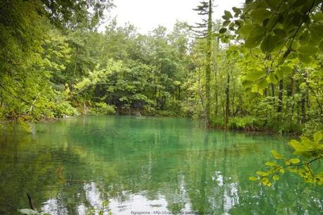 Le parc national de Plitvice, les incontournables (voyage en Croatie #7) P6174064_plitvice-pluie-rain_41_gagaone