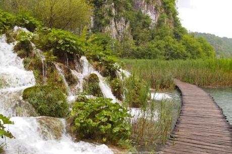 Le parc national de Plitvice, les incontournables (voyage en Croatie #7) P6174064_plitvice-pluie-rain_68_gagaone