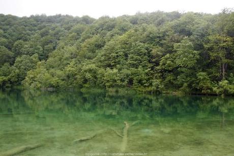 Le parc national de Plitvice, les incontournables (voyage en Croatie #7) P6174064_plitvice-pluie-rain_26_gagaone