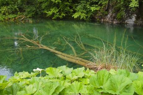 Le parc national de Plitvice, les incontournables (voyage en Croatie #7) P6174064_plitvice-pluie-rain_47_gagaone