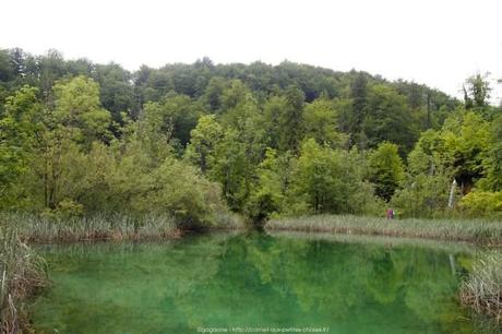 Le parc national de Plitvice, les incontournables (voyage en Croatie #7) P6174064_plitvice-pluie-rain_39_gagaone