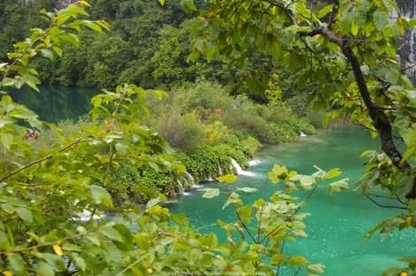 Le parc national de Plitvice, les incontournables (voyage en Croatie #7) P6174064_plitvice-pluie-rain_79_gagaone