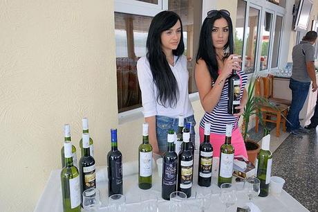 L'Arménie du vin dfb