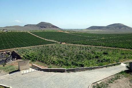 L'Arménie du vin juy