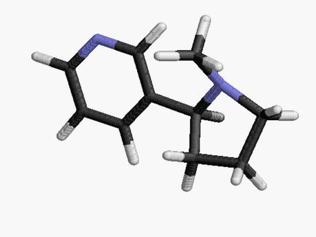 La nicotine est un poison ! molécule de nicotine