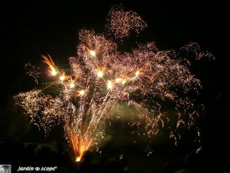 Comment Jardiner avec la lune au mois de Juillet 2014 ? Feu d'artifice 14 juillet