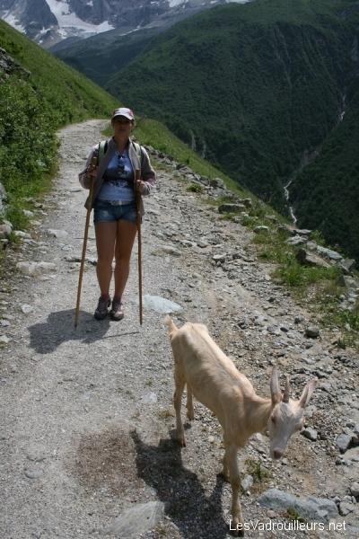 Radonnée en montagne Radonnée en montagne