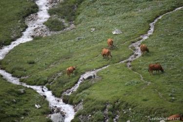 Radonnée en montagne Radonnée en montagne