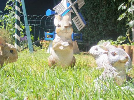 Dans le jardin magique. Dans le jardin magique.