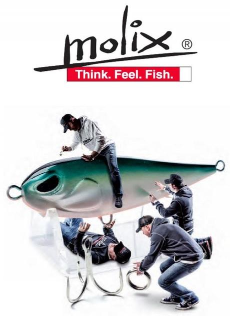 Autain distributeur officiel de la marque Molix annonce-distribution-autain.jpg