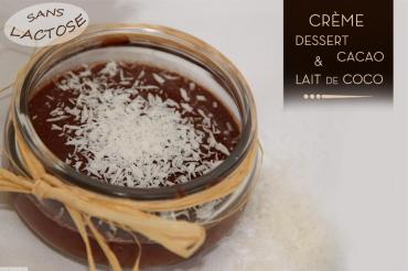 Recette facile, bio et sans lactose : Crème Dessert Cacao & Lait de Coco